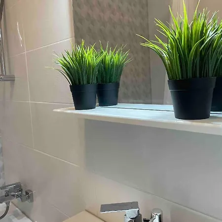 Stylish Near Orhideea Towers With Free Wifi アパート
